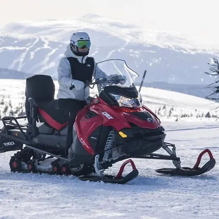 Luxurious Mountain شاليه Ljørdal